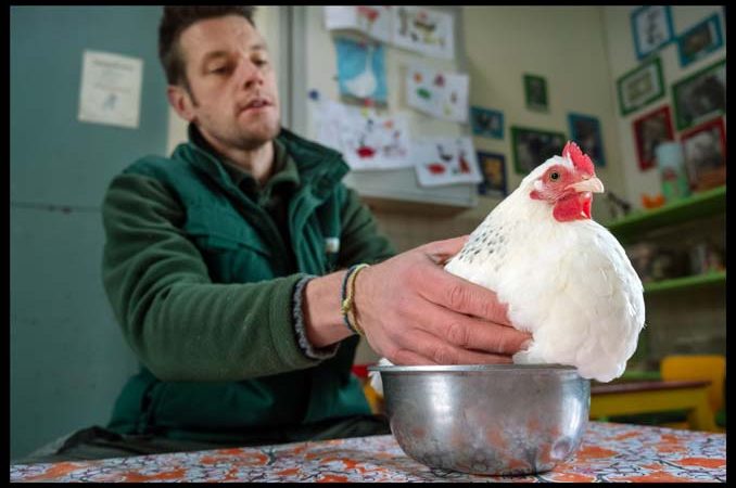 Fotostrip: Tim op de kinderboerderij