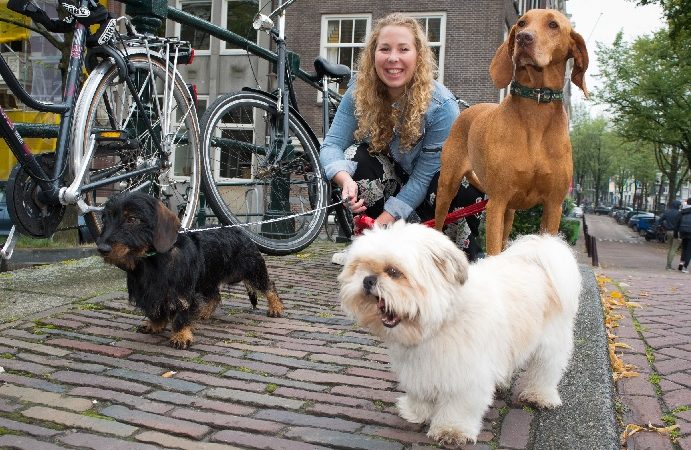 6x leuk iets goeds doen met/voor dieren!