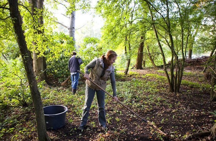 Spring Fever – Inspiration session for outdoor volunteers in Nieuw West