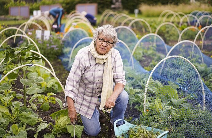 Aan de slag in de Voedseltuin: “Lekker buiten, dat geeft rust in mijn hoofd”