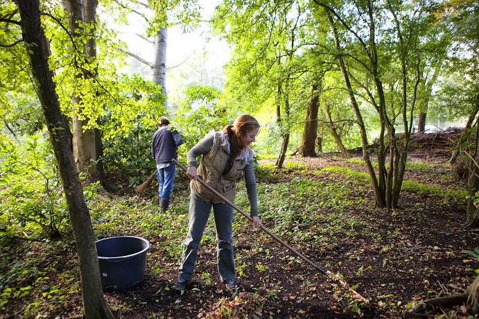 top 9 natuur