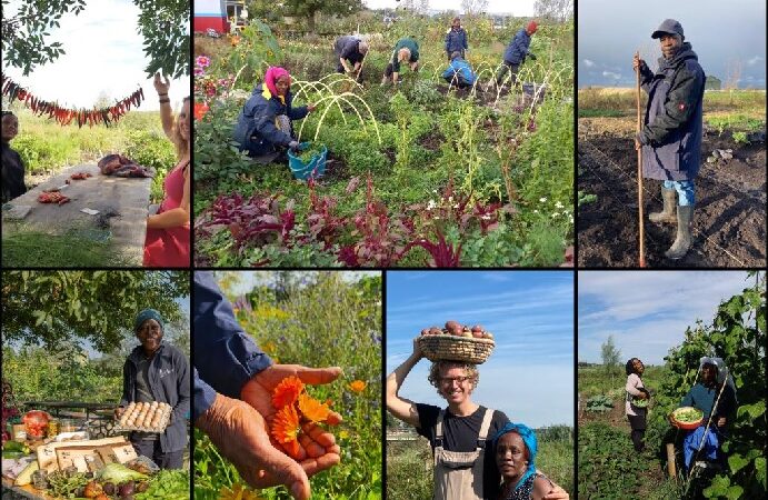 Volunteer in an biological garden