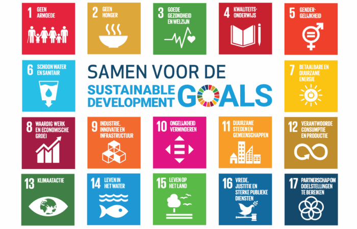 Maak jullie impact zichtbaar met SDG-doelen